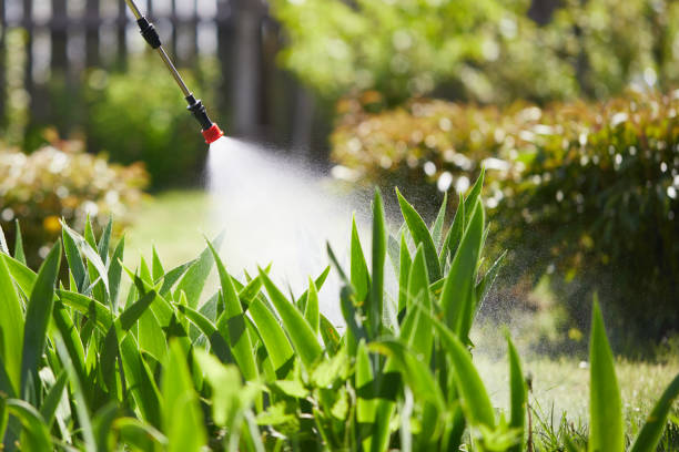 Tamper-Resistant Bait Stations for Rodents in Tuckahoe