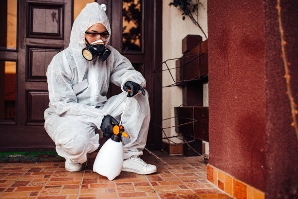 Attic and Crawl Space Rodent Treatment in Tuckahoe