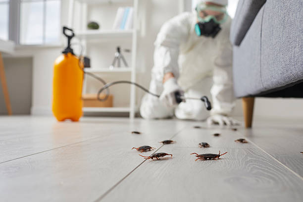 Commercial Rodent Management in Tuckahoe